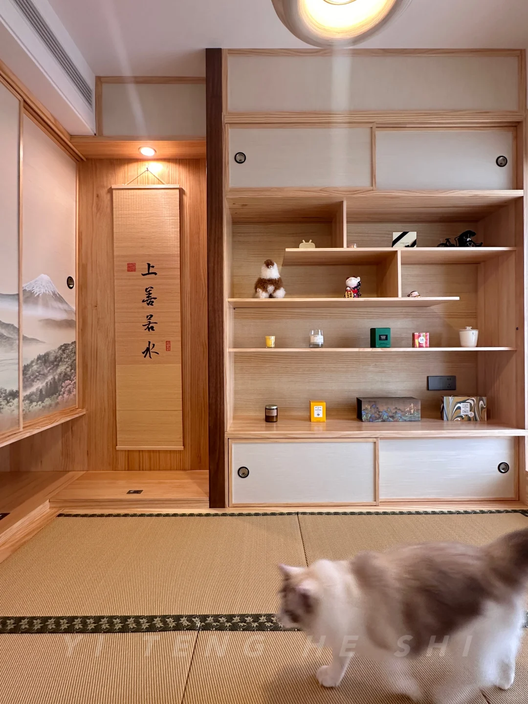 空房爆改猫乐园+茶室榻榻米?闺蜜馋哭了