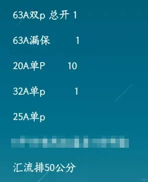 电工配的电箱清单 看看咋样