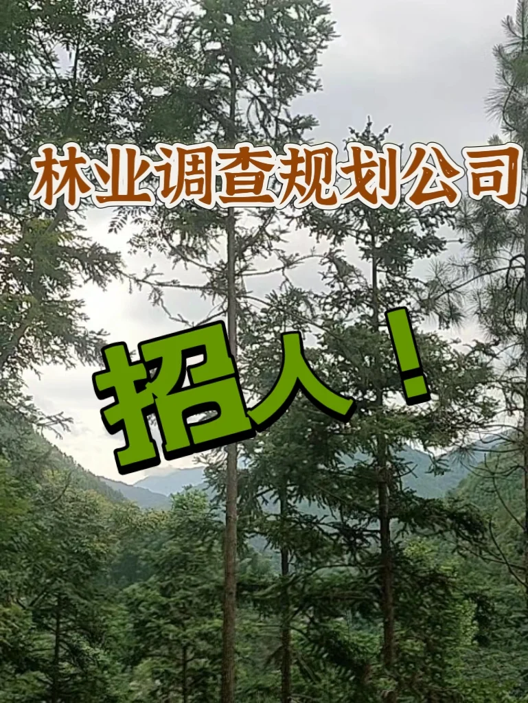 学林业的人都去哪里了