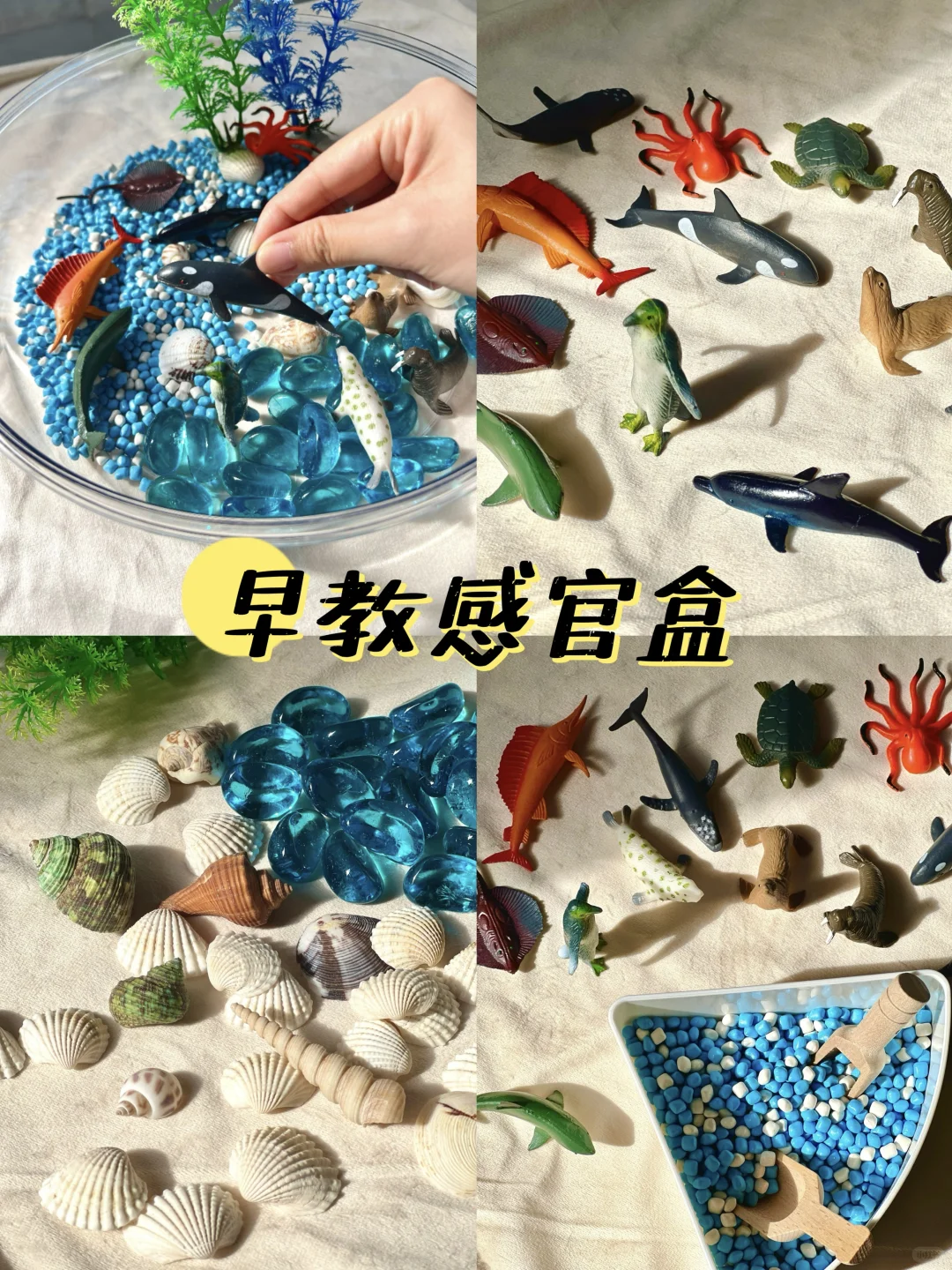 早教感官盆！陪宝宝快乐过家家~