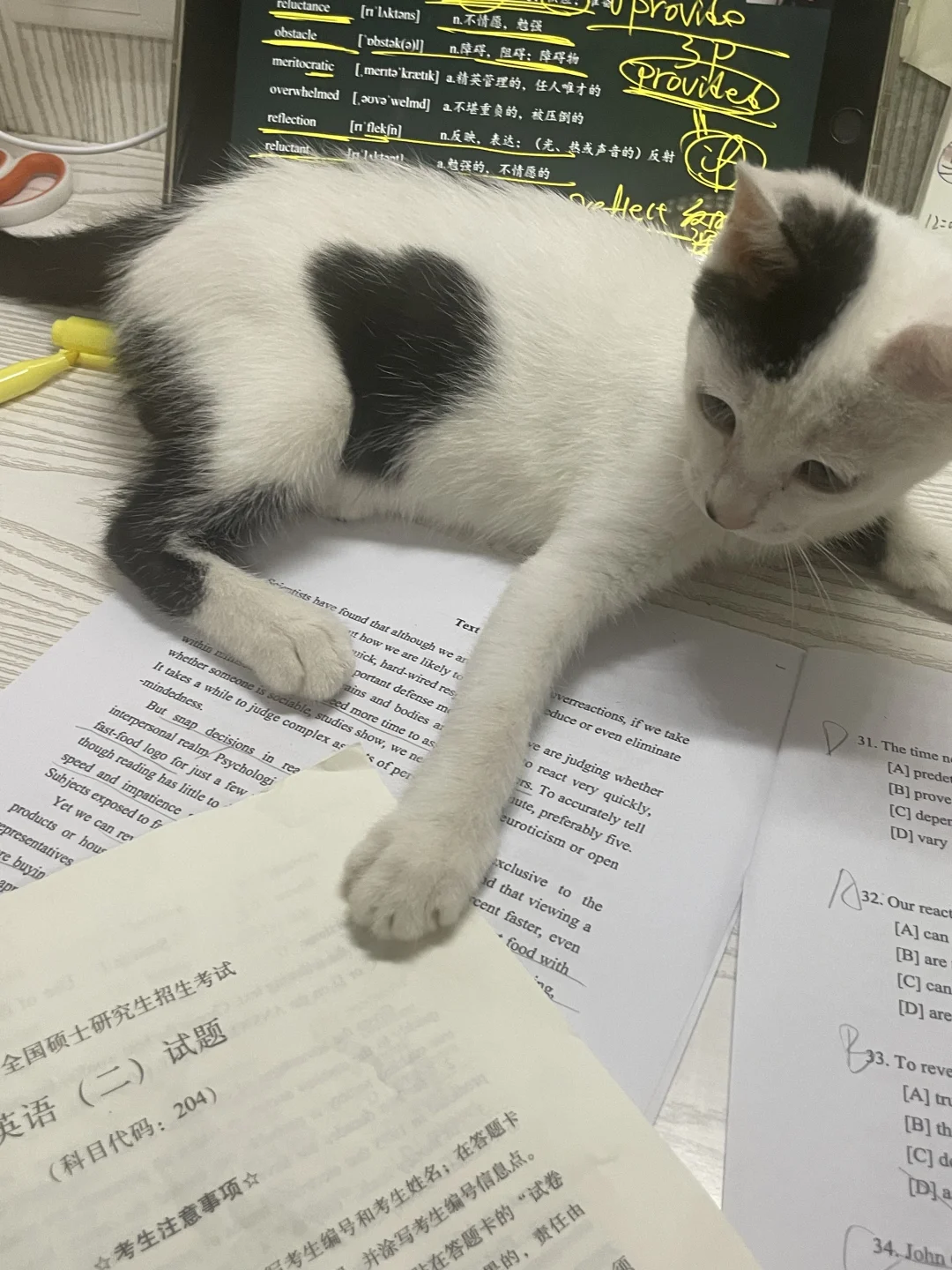 和小咪一起上岸了?