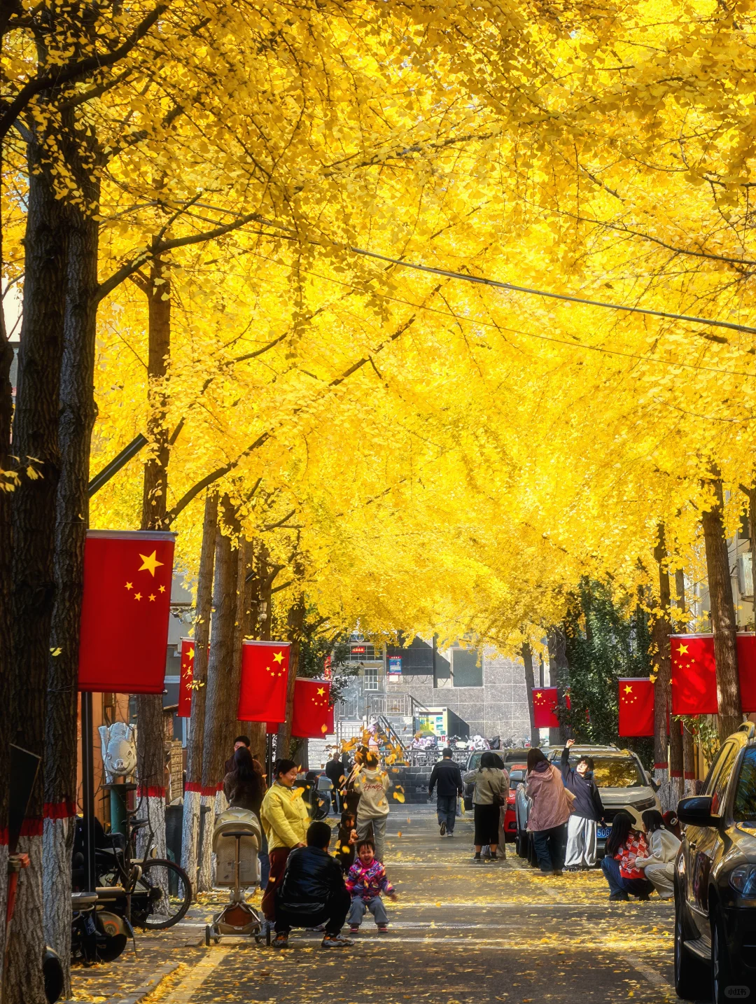 11.4太原老军营银杏?实拍❗(附攻略)