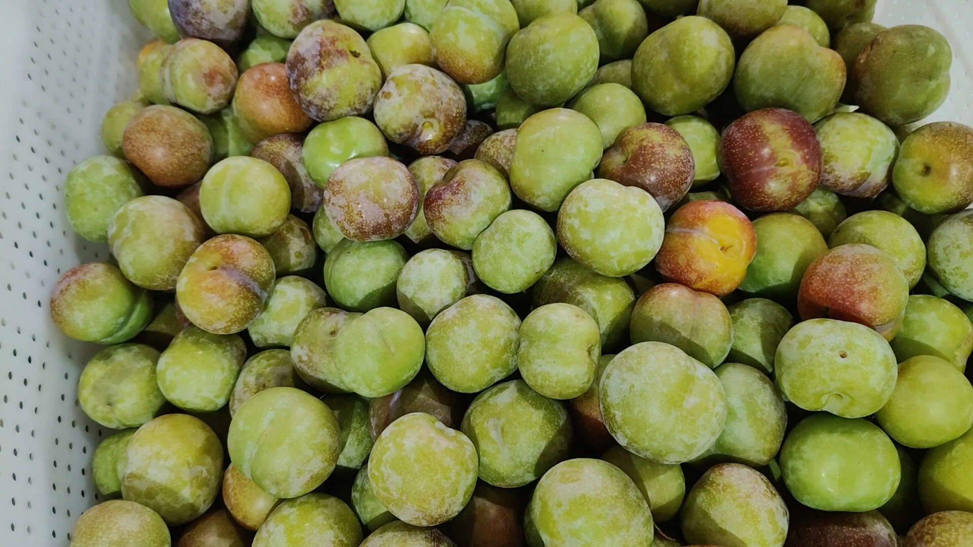 李子纯天然果实，给你清凉一夏的口感！！！