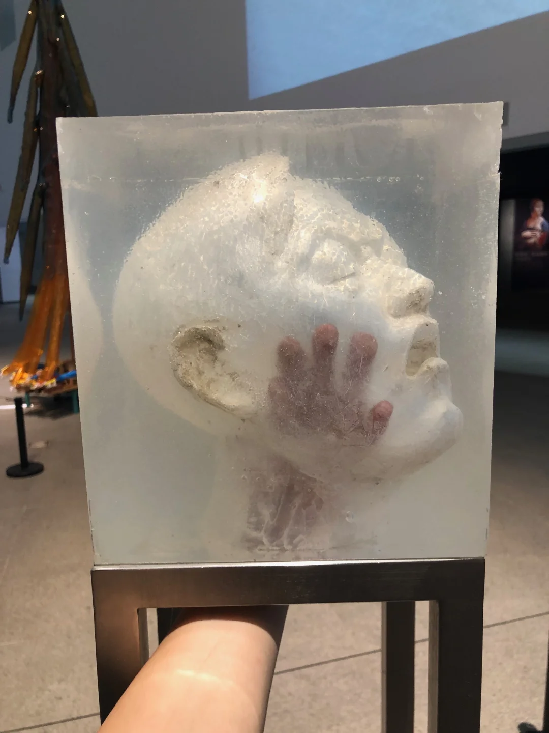 我环绕在光里，变成透明的模样