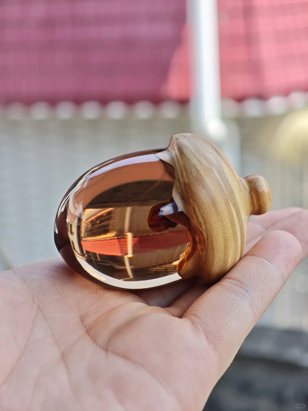 这样看上去脐带像果核