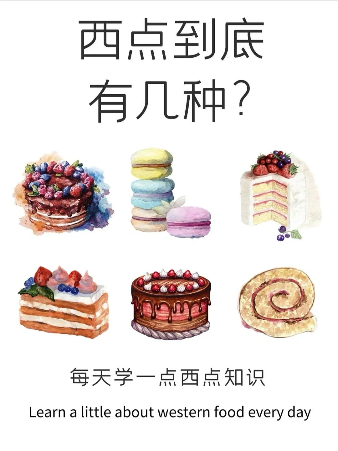 终于有人讲清楚西点种类了…