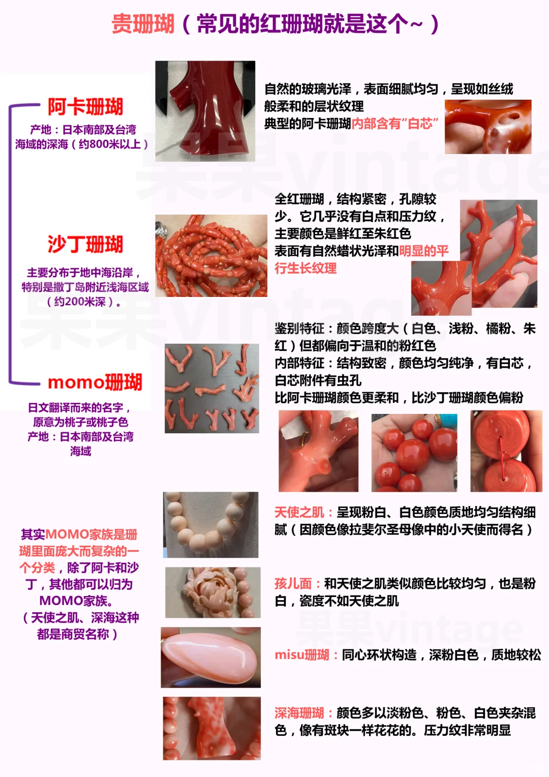 主包整理的关于珊瑚的天才指南!