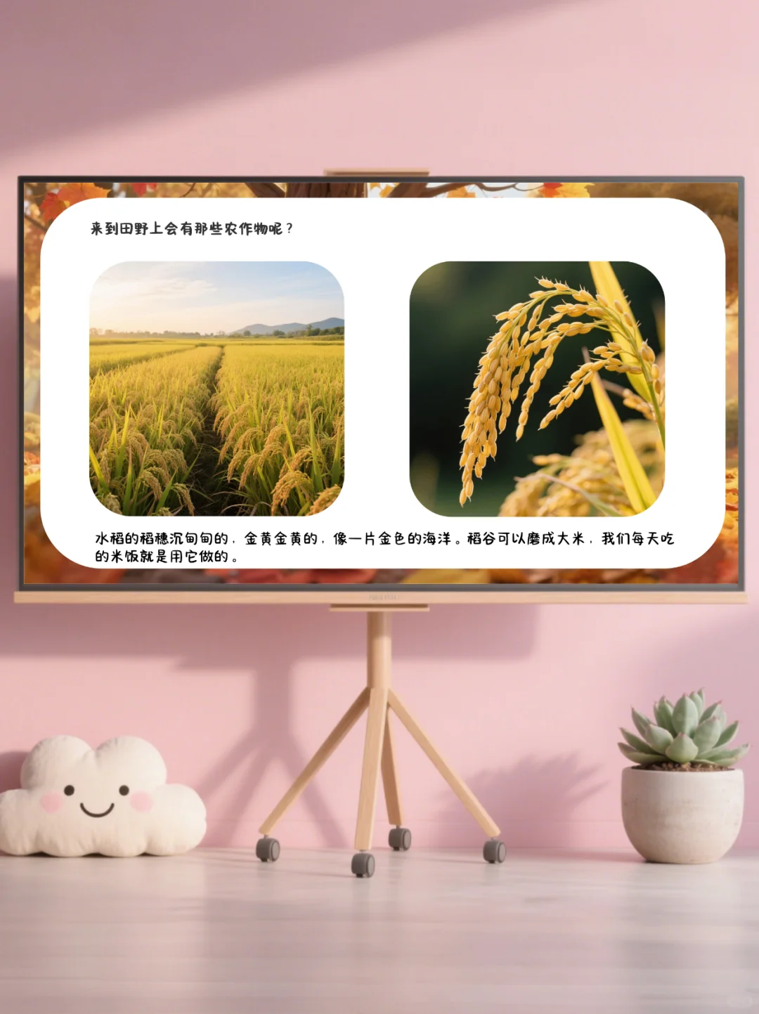 ✨幼儿园公开课｜中大班语言《你好，秋天》