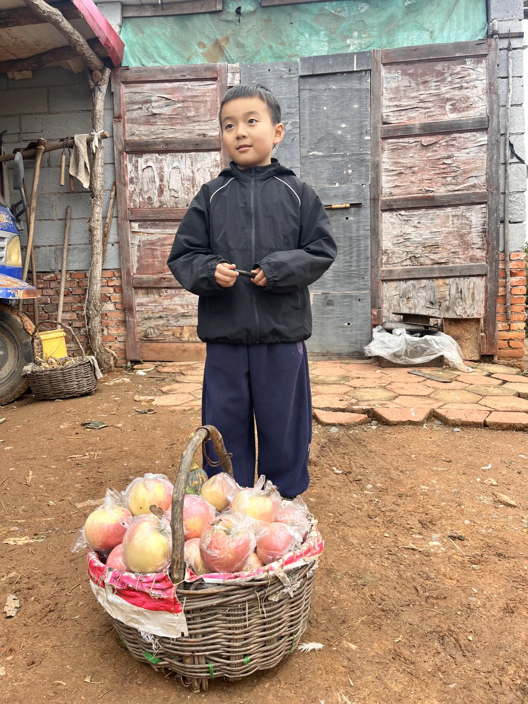石家庄周末|山里|吸氧|采摘|遛娃