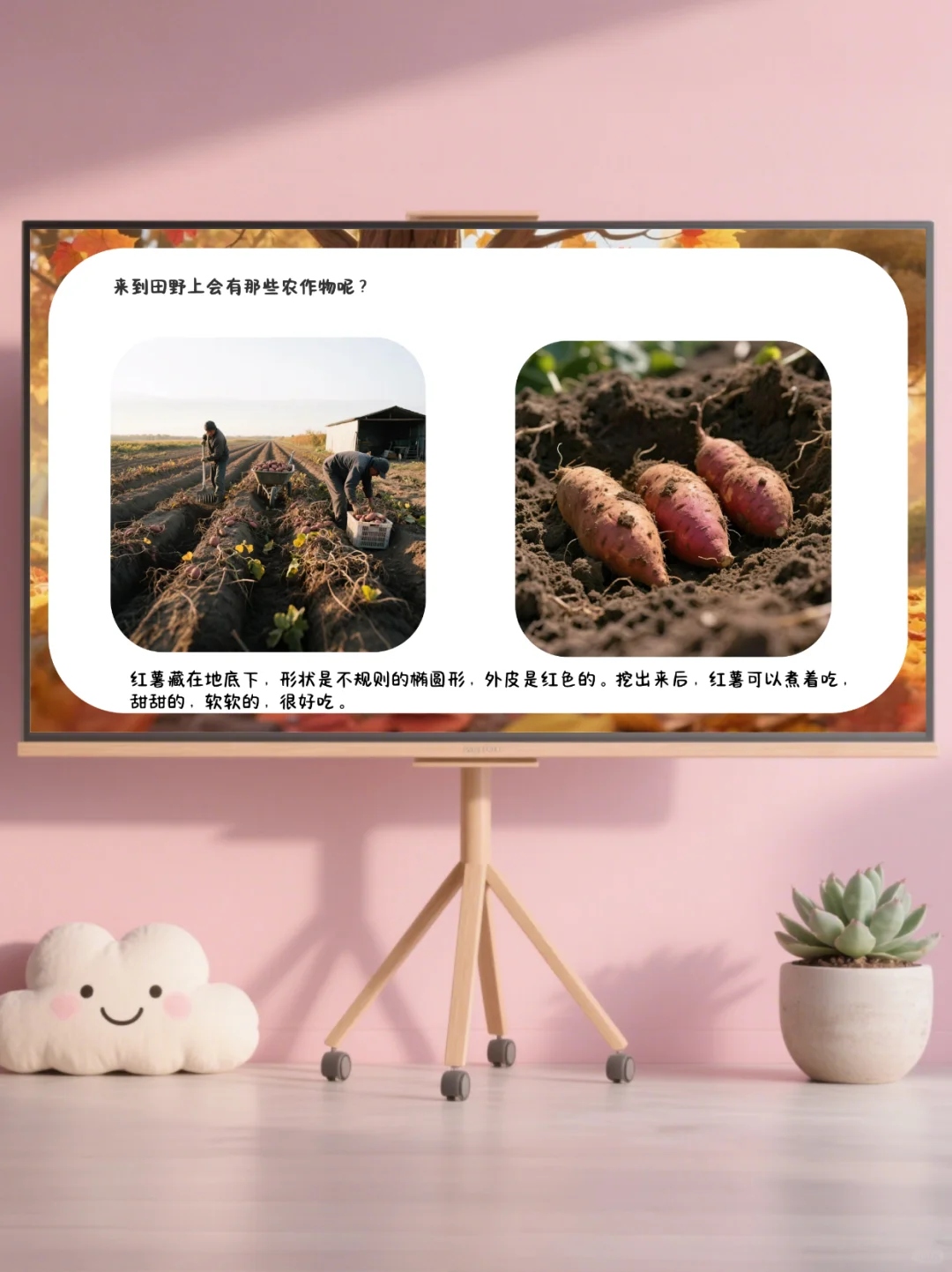 ✨幼儿园公开课｜中大班语言《你好，秋天》