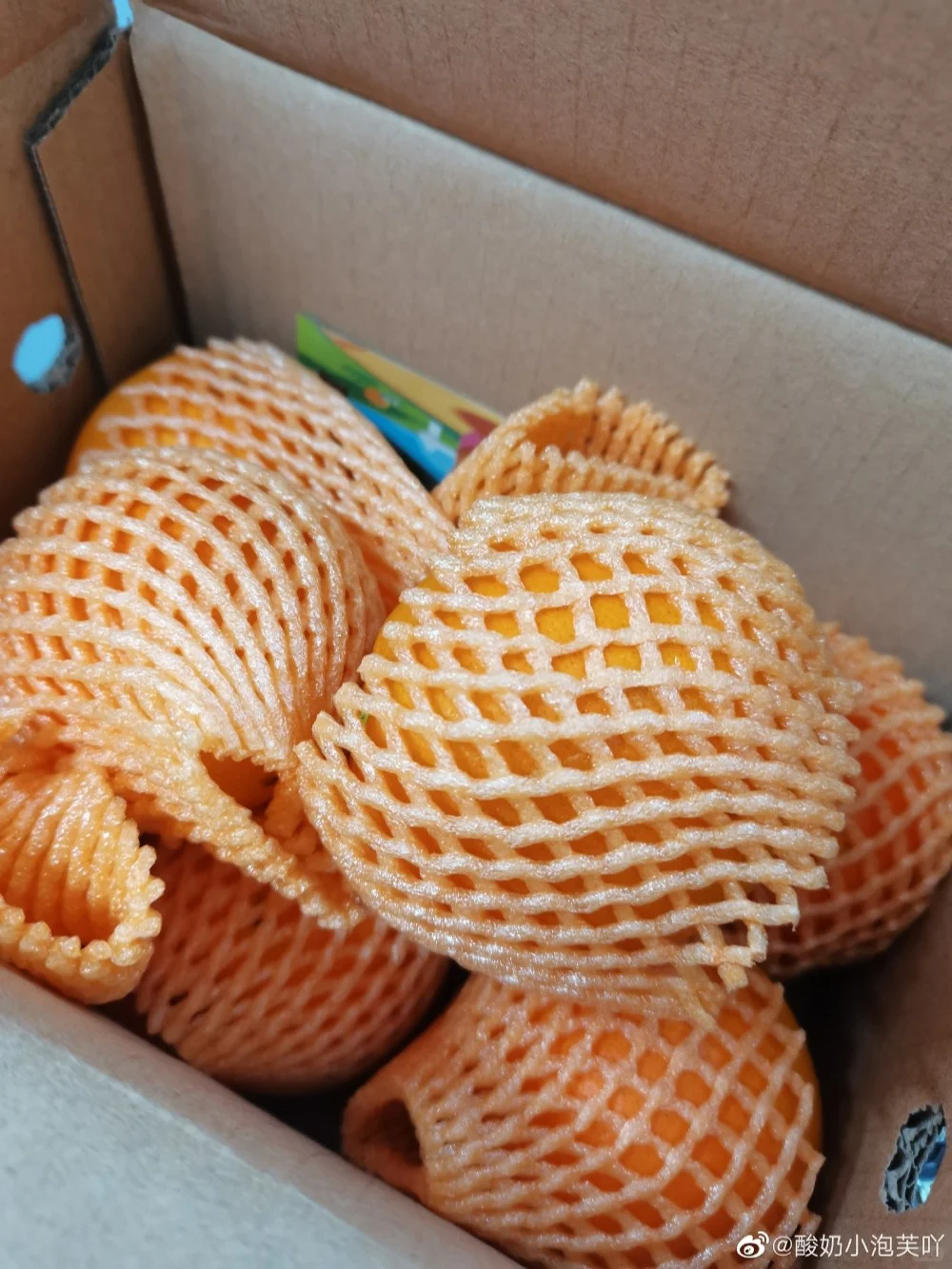 种树真的好快乐