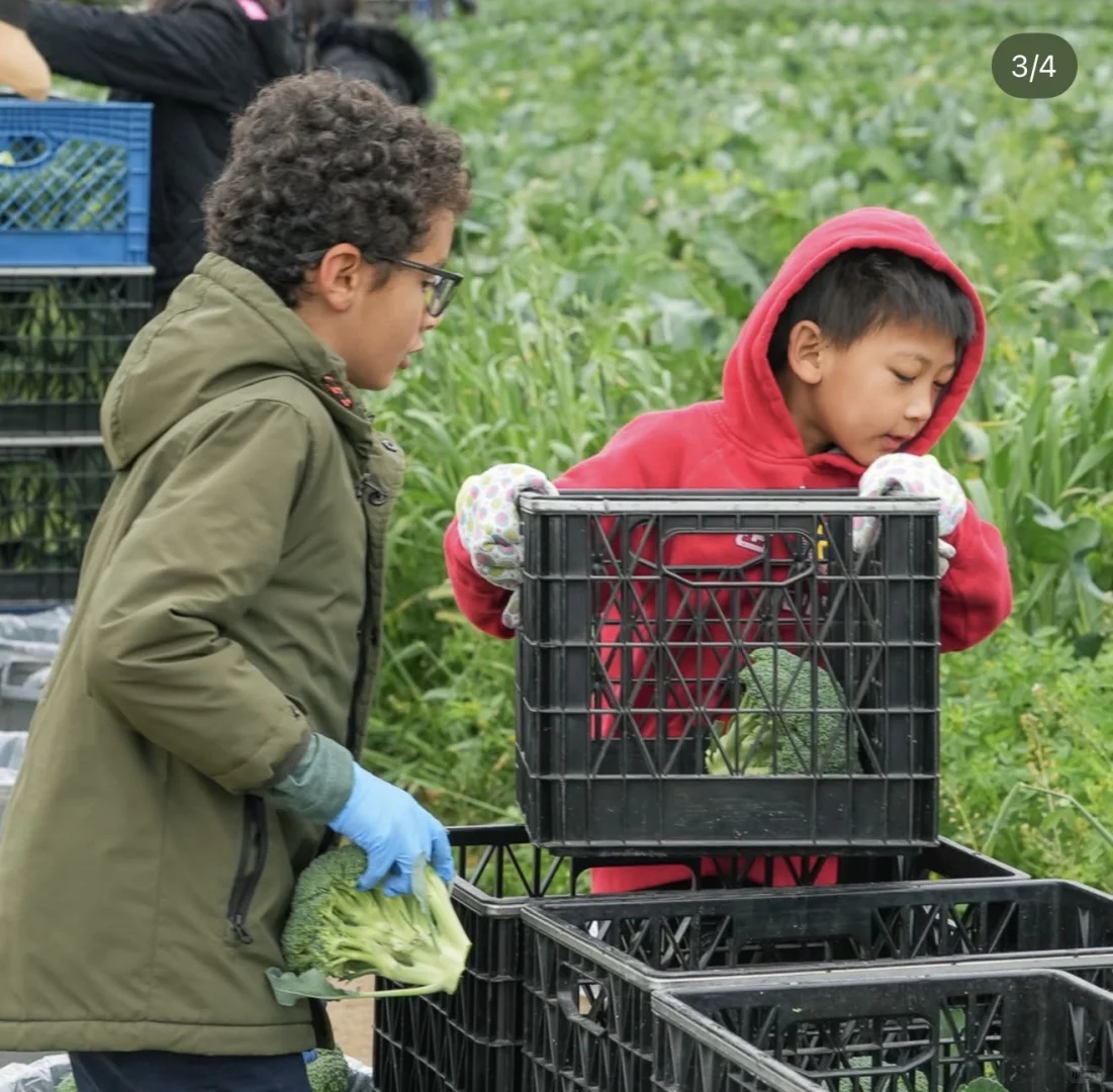 下周六和市长一起做义工|CAC俱乐部义工招募