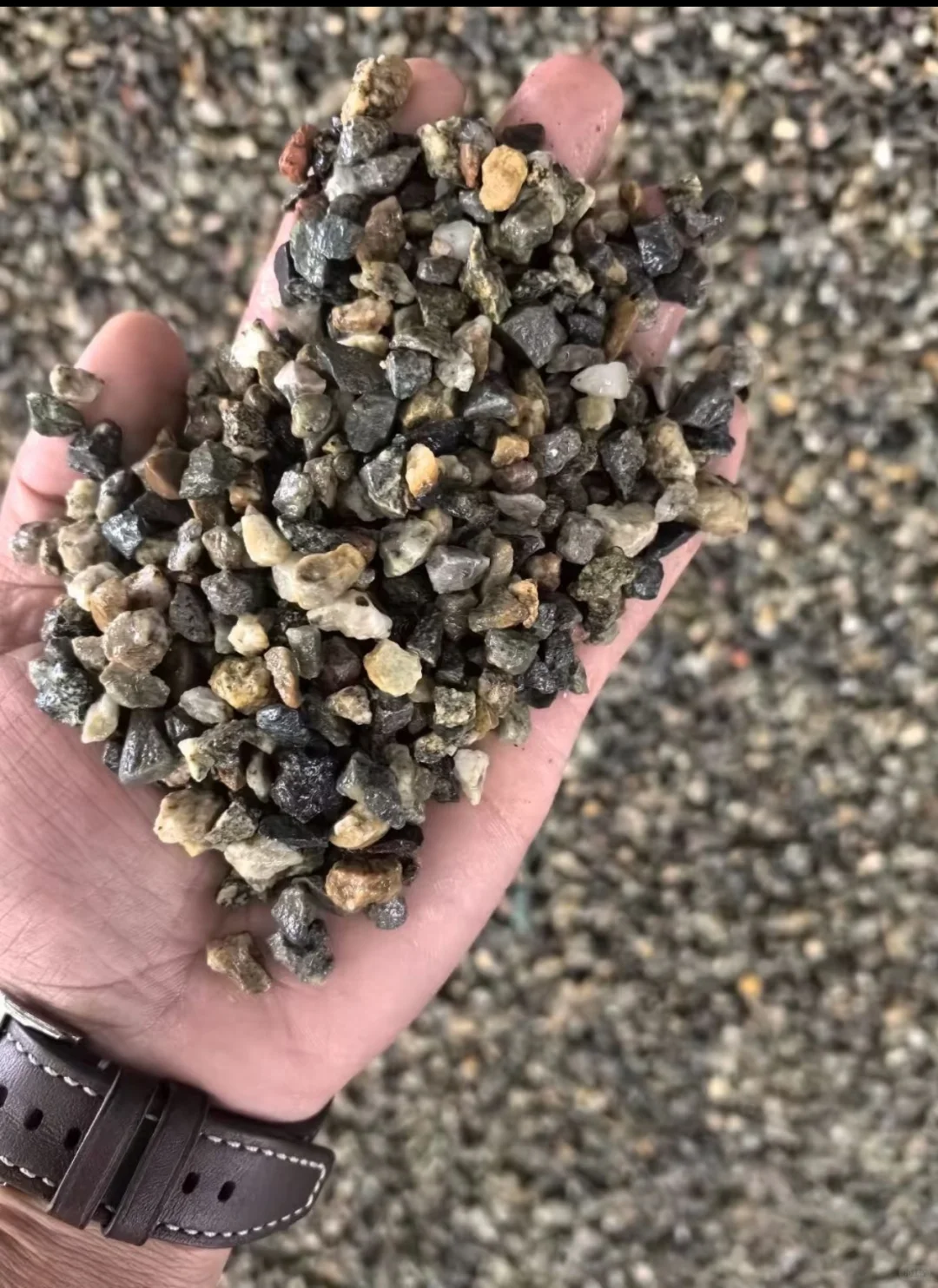 来自商家的自我介绍❤️