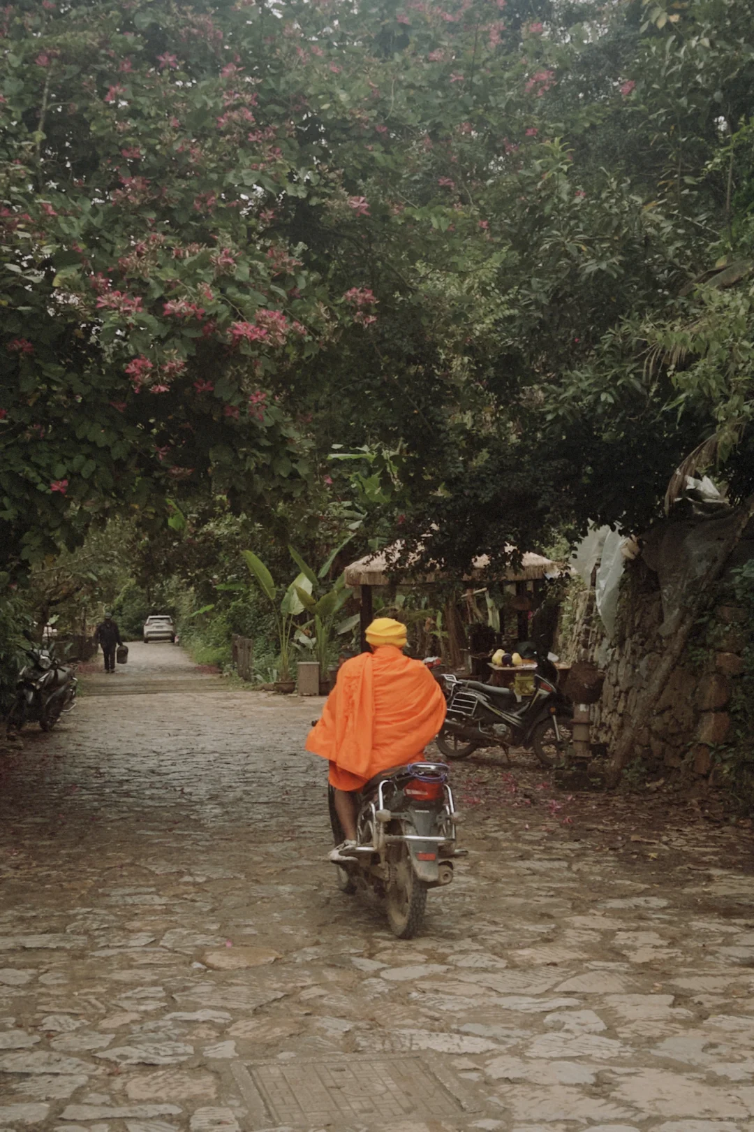 庆幸自己拥有独自探索世界的习惯与能力