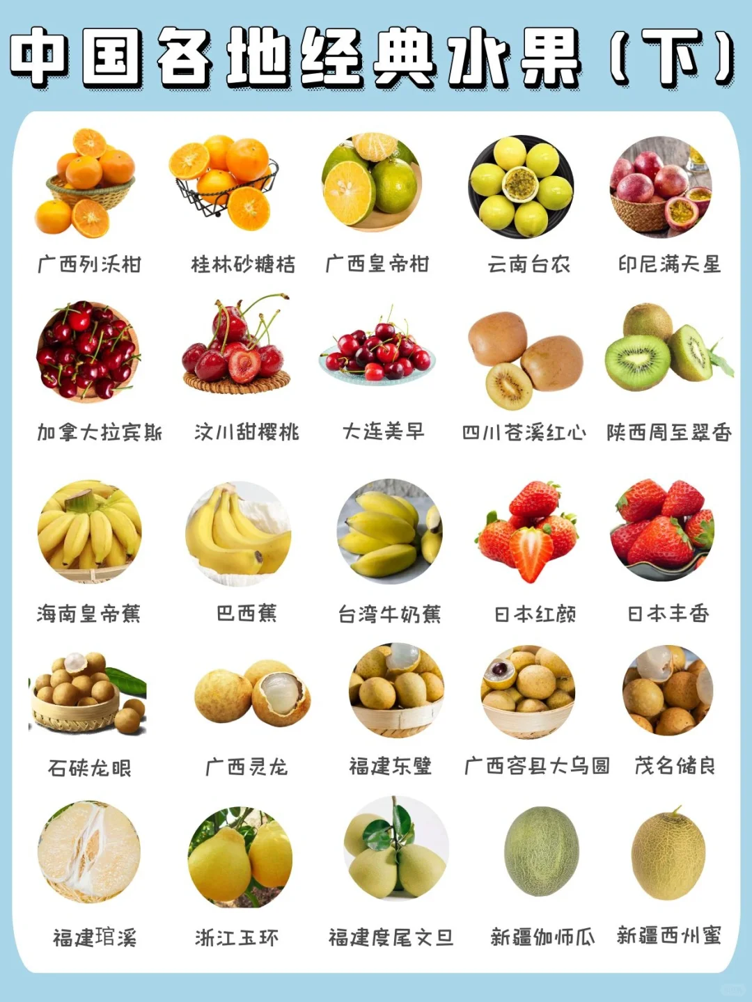 生活常识|水果品种图鉴吃货必收藏(下)