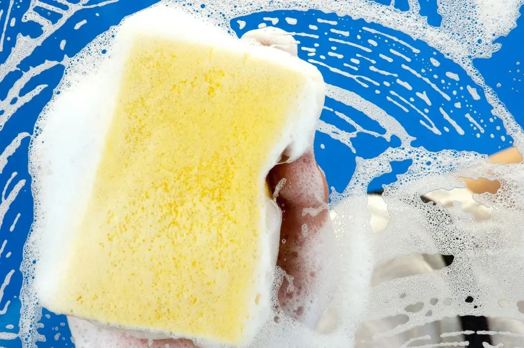 这些器官正在被微塑料入侵！