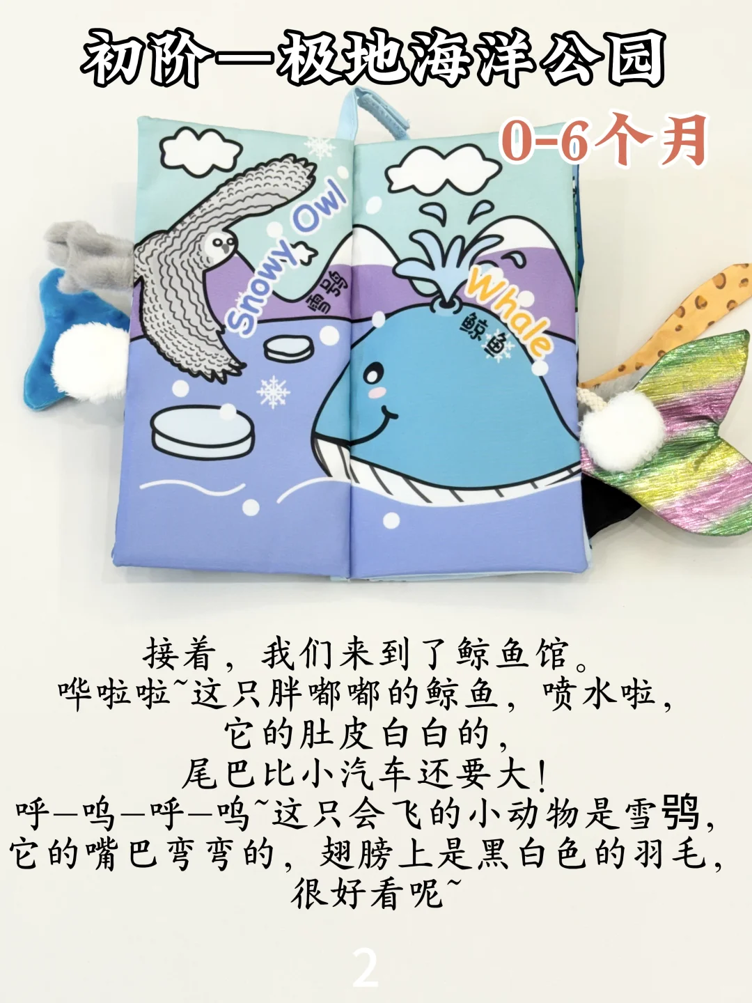 抄作业❗jollybaby冰川布书0～3岁这么读❗