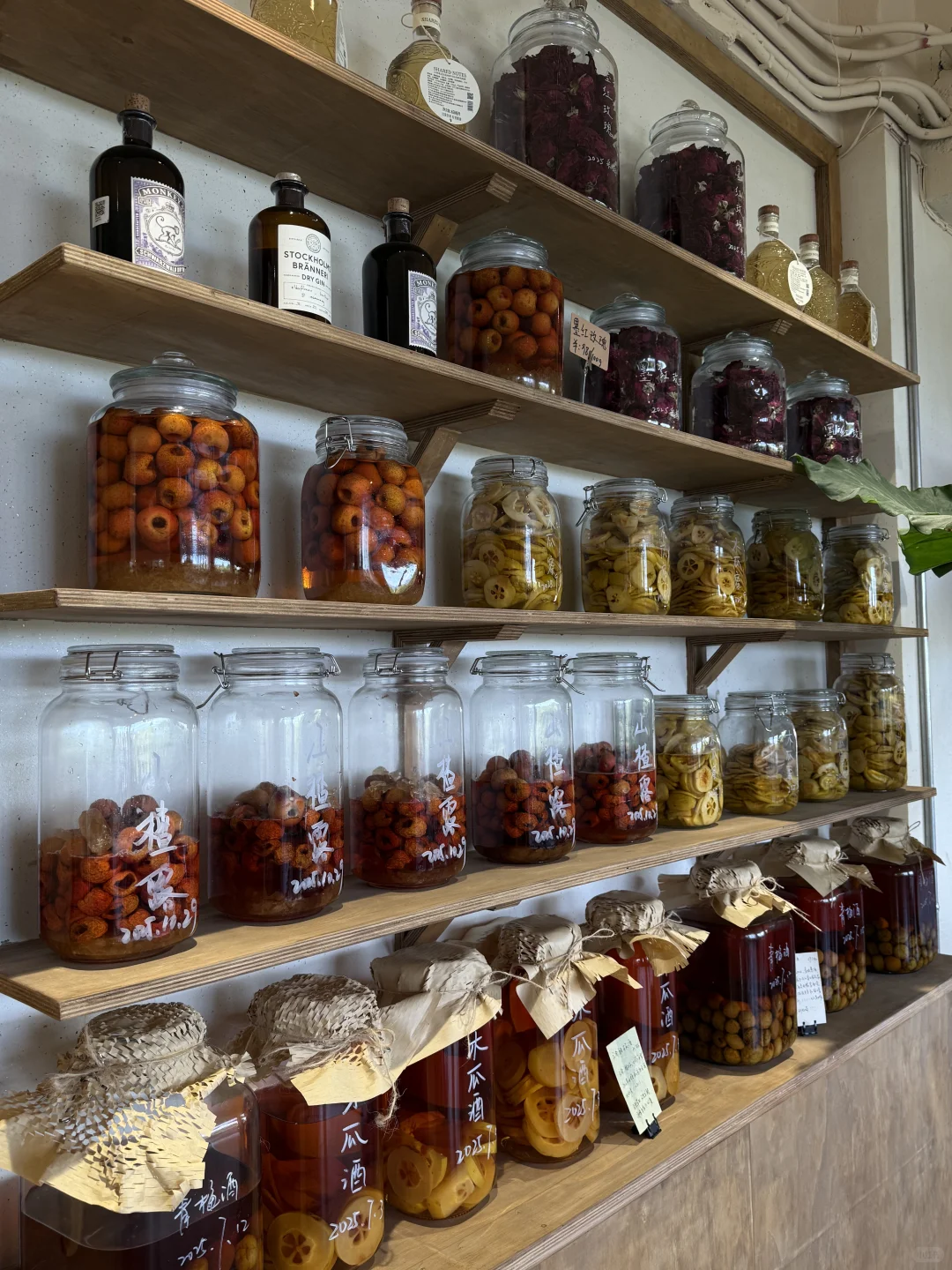 大理这家有机餐厅,像走进一场“安心生活”