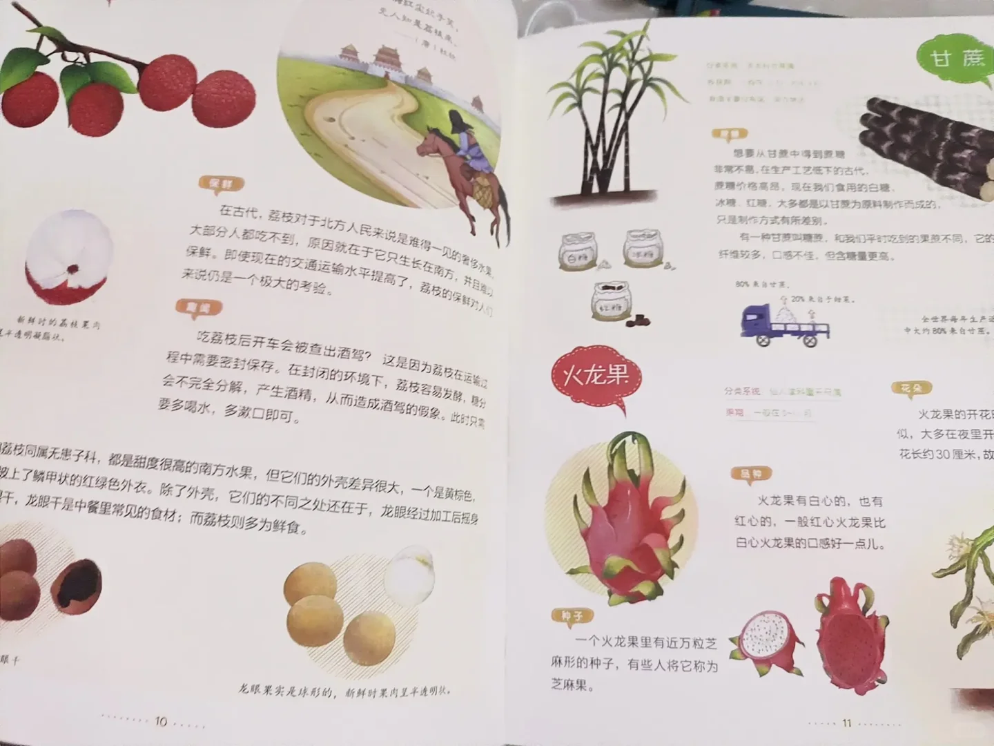 一起去野外吧——美味果蔬篇