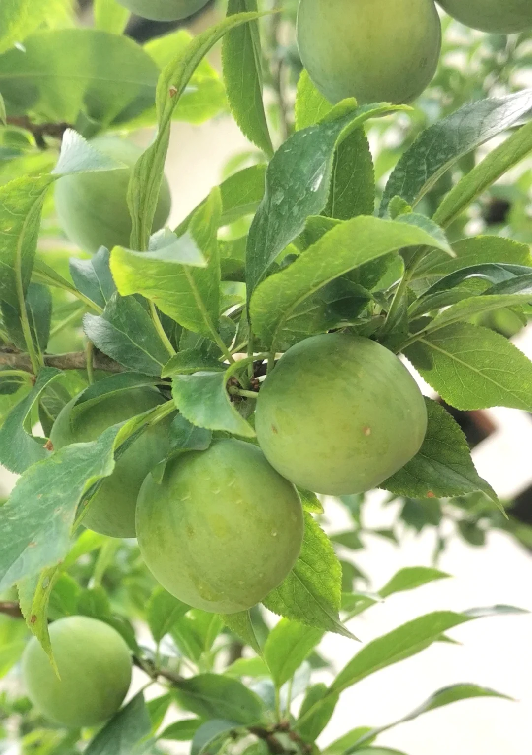 这个夏天太喜欢了！