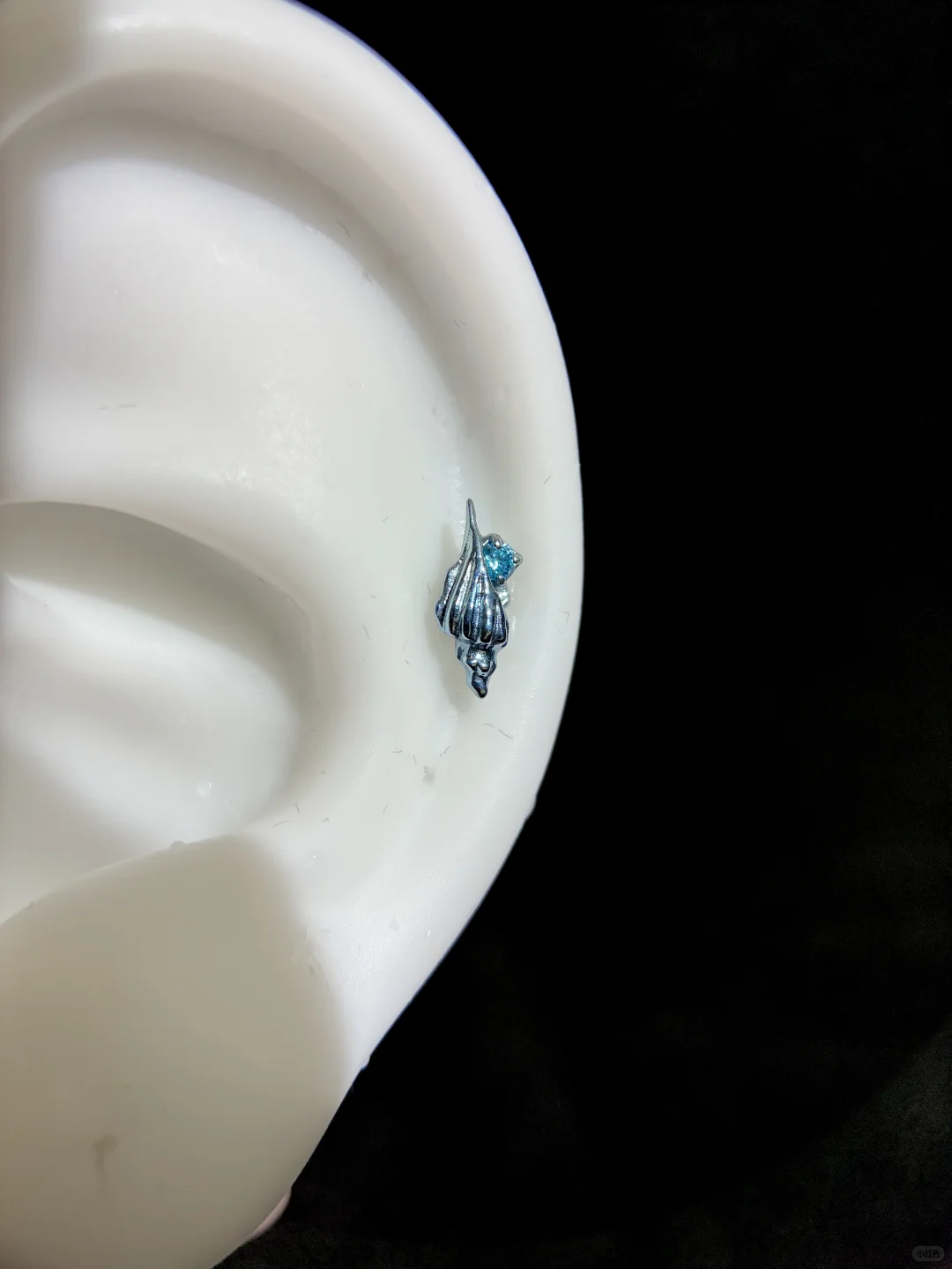 Live.海螺?耳钉版 养耳洞首选钛合金✌️