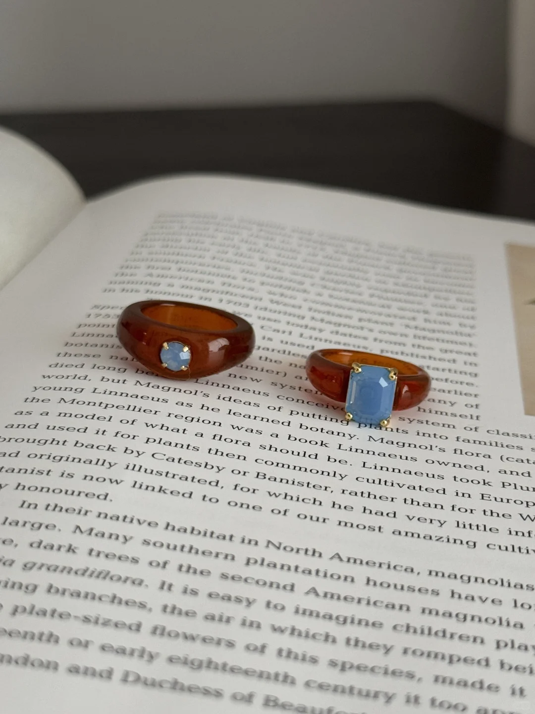 这是仙女的琥珀戒指吧