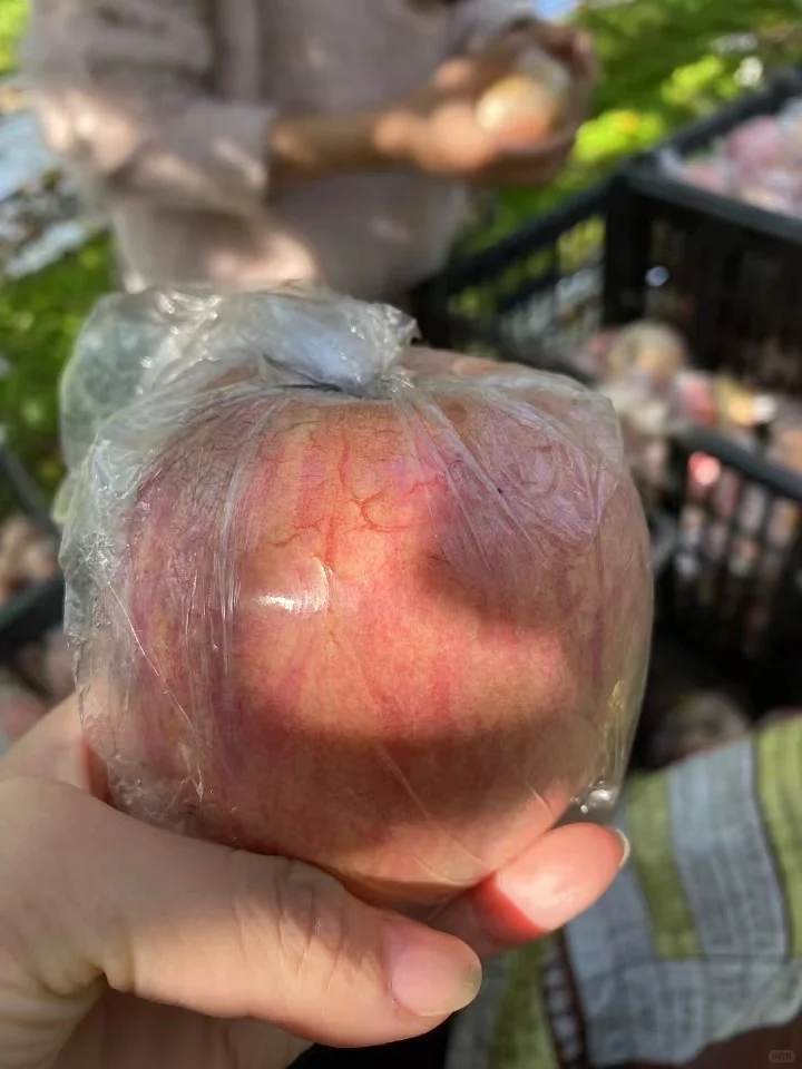 苹果才不是无聊的水果