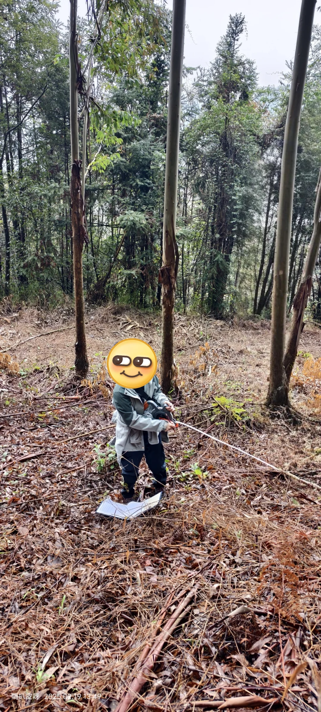 谁说女生不用去林地-篇章5?