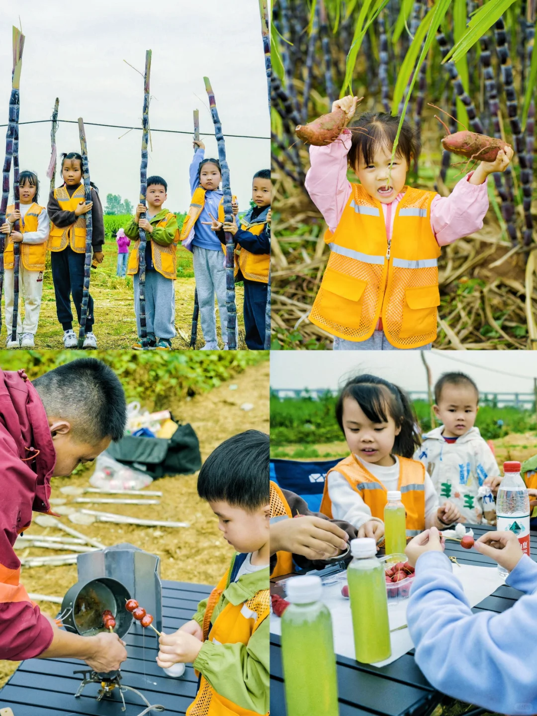 周末遛娃??砍甘蔗、挖红薯、做糖葫芦
