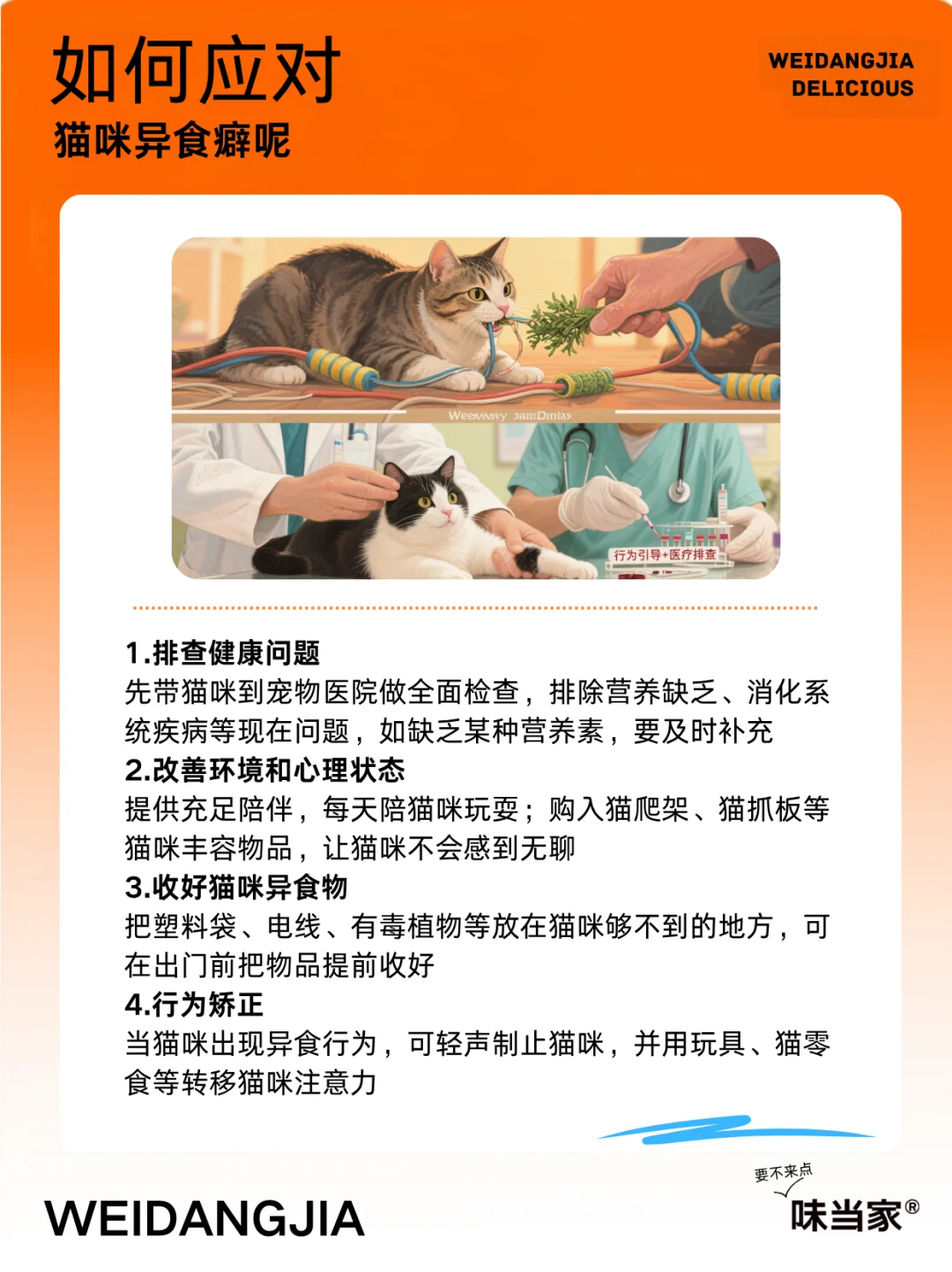 猫吃塑料袋，可能是和异食癖有关