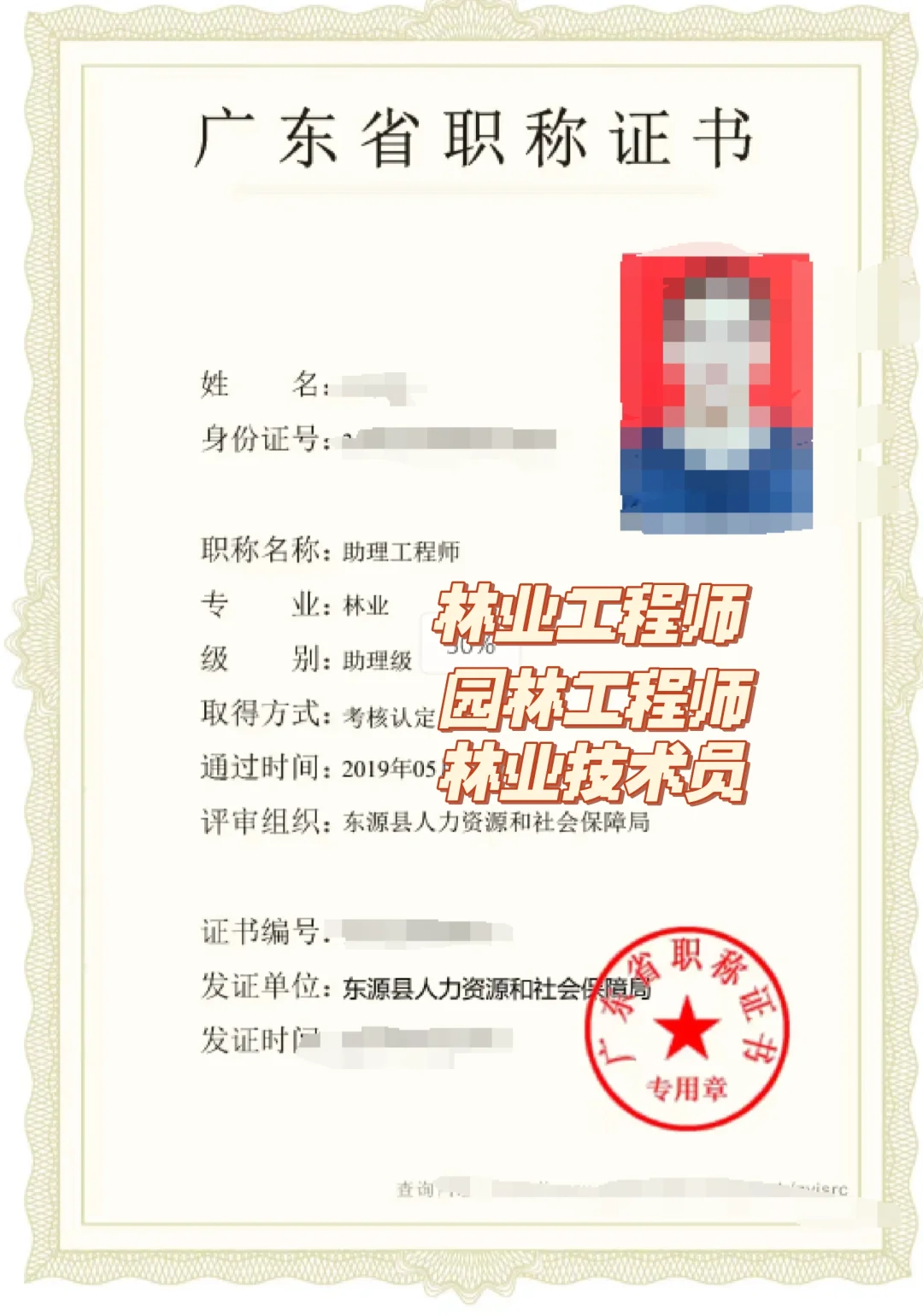 刚撤出一批广东林业调查规划设计所用人员