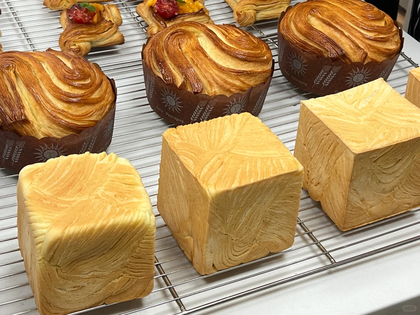 消失的我回国终于学会了做面包?