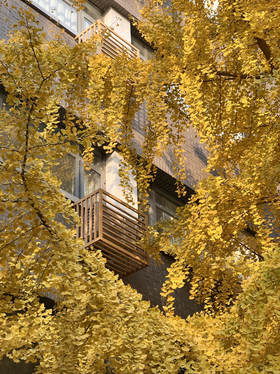 请回答2⃣️0⃣️2⃣️3⃣️（右滑）