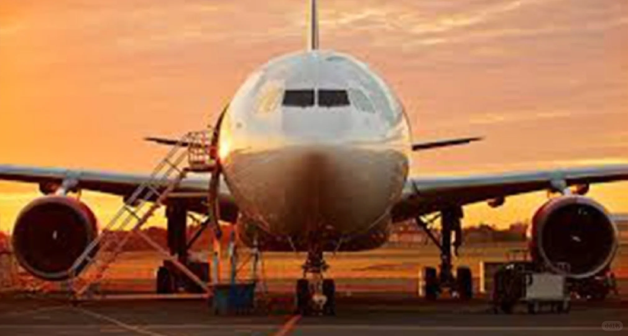 物流科技的應用 ??