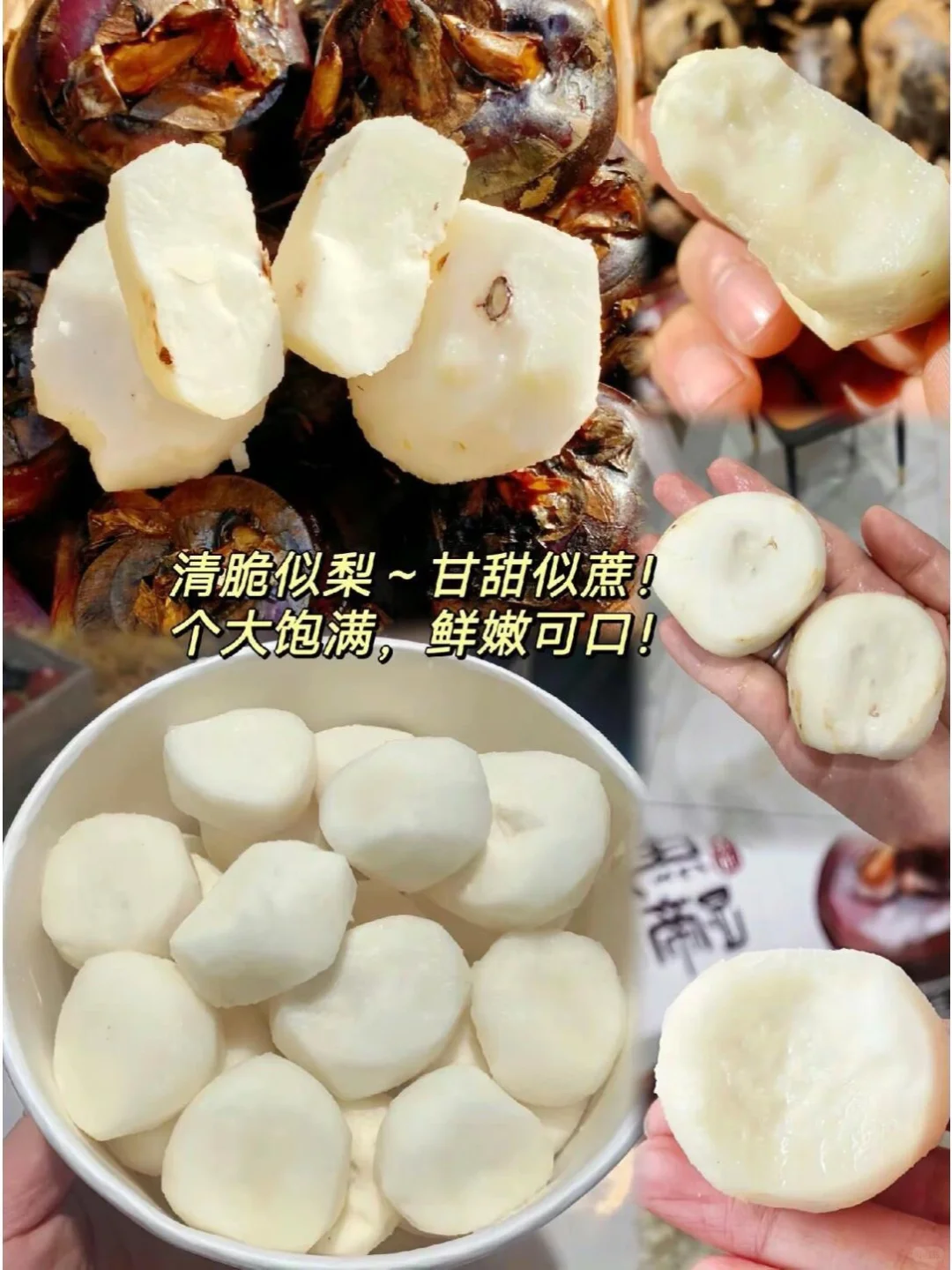 荸荠,你绝对不能错过的绿色果实!?