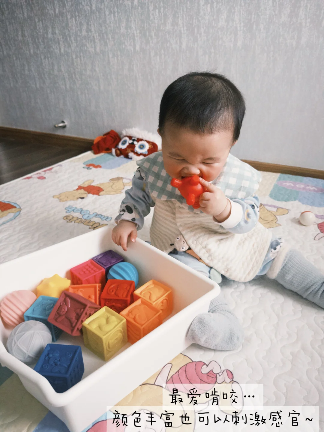 ?6月龄-1岁最爱玩具大公开 玩到停不下来~