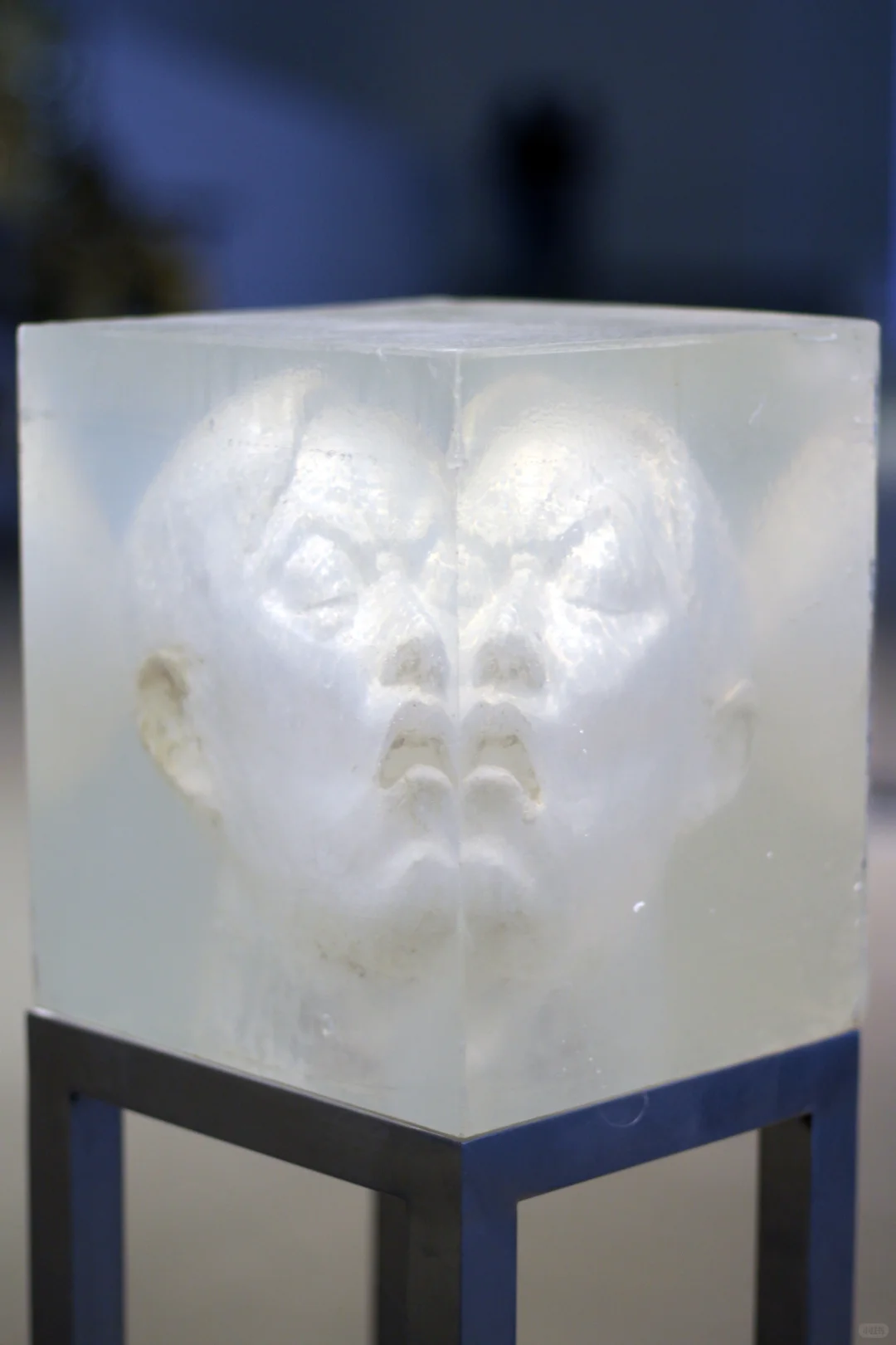 我环绕在光里，变成透明的模样