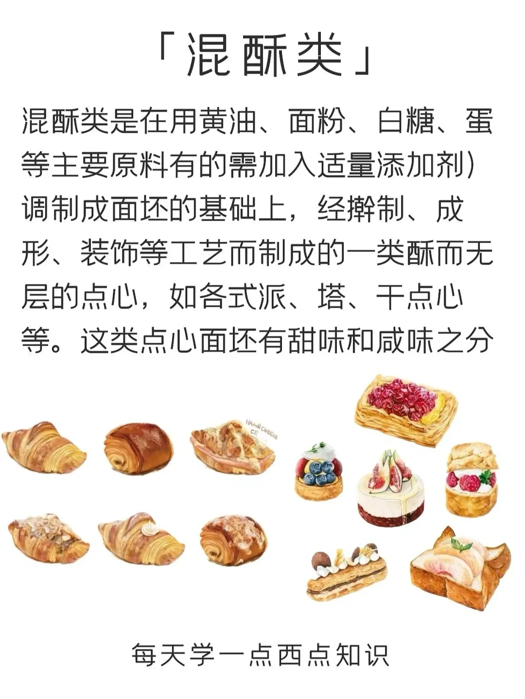 终于有人讲清楚西点种类了…