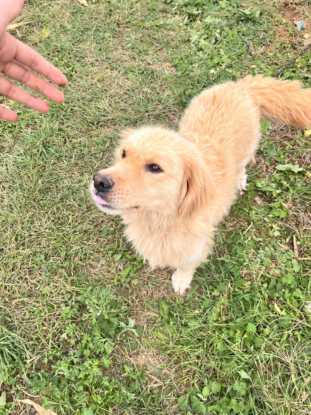 石家庄周末|山里|吸氧|采摘|遛娃