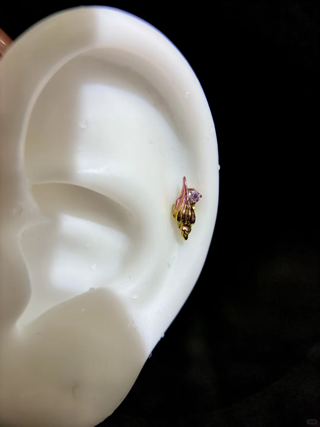 Live.海螺?耳钉版 养耳洞首选钛合金✌️