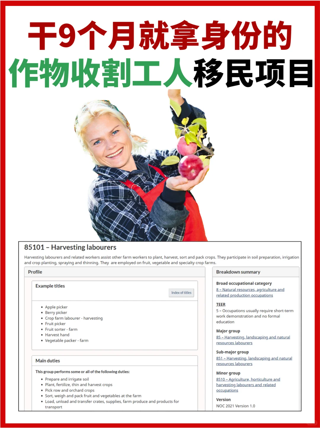 在加拿大摘苹果，工作9个月拿PR