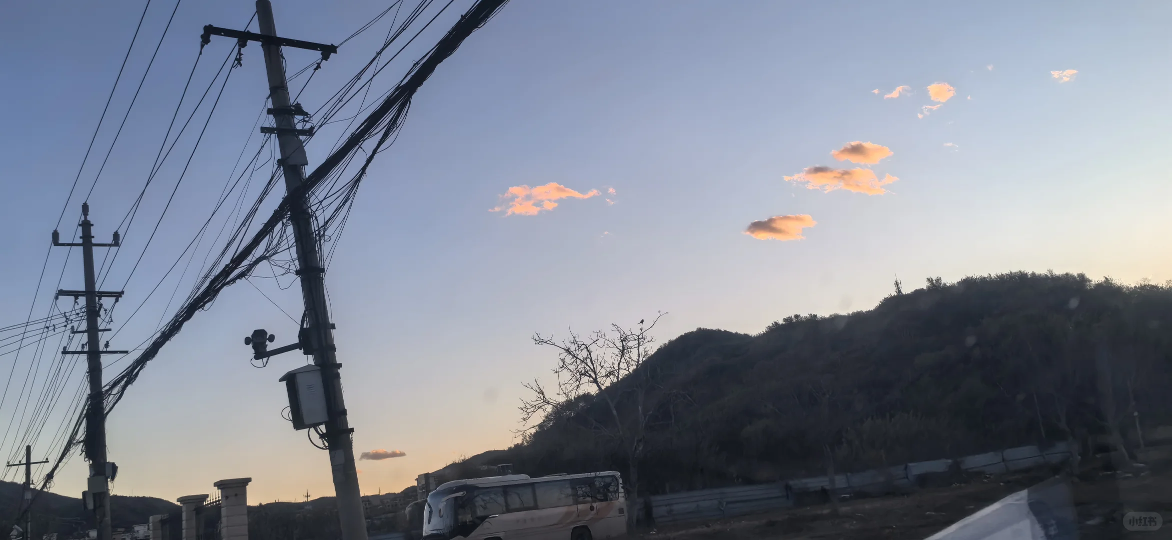 海淀集体生态林，银杏叶进入最佳观赏期