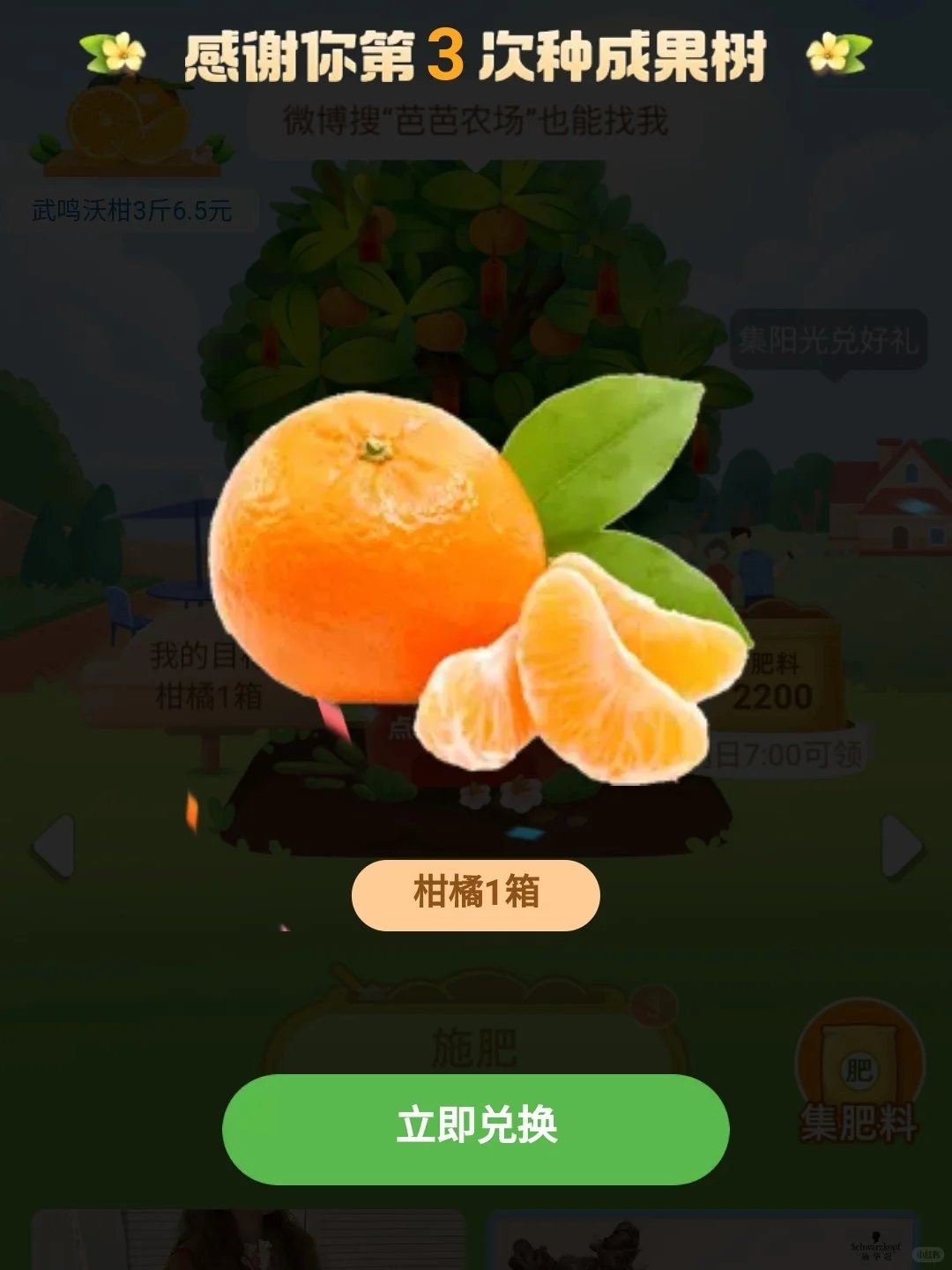 种树真的好快乐