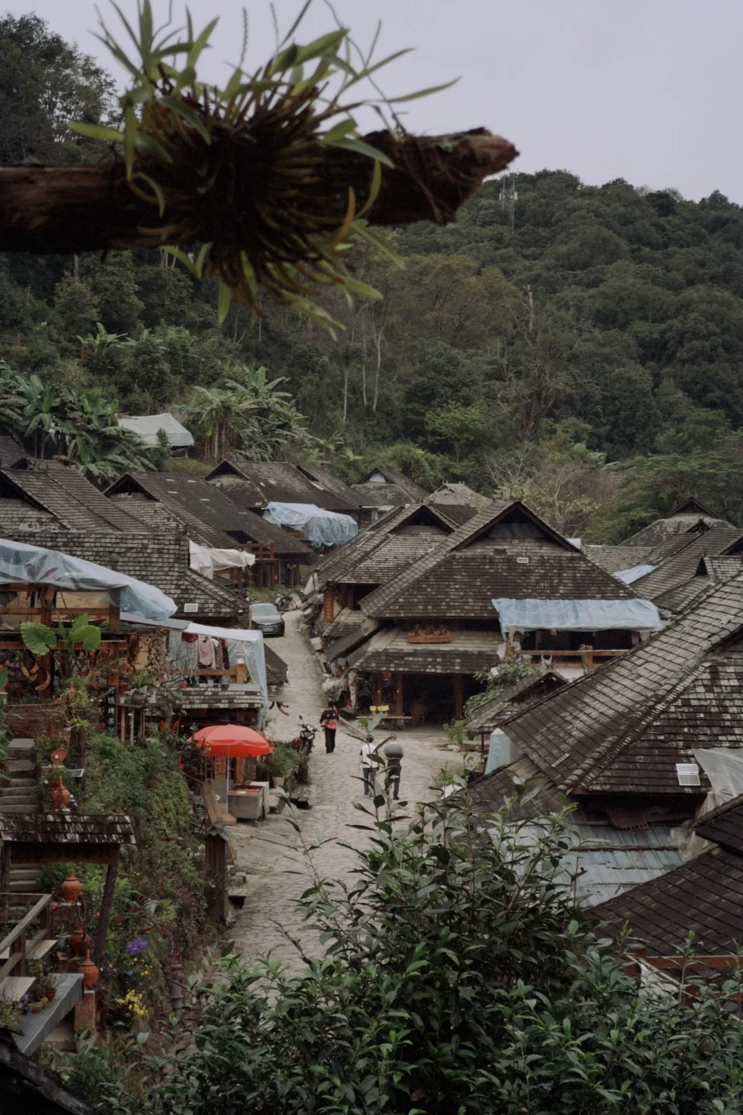 庆幸自己拥有独自探索世界的习惯与能力