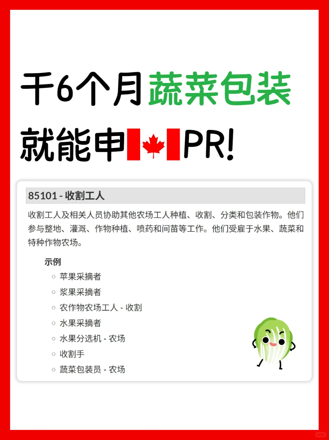 加拿大低门槛移民‼️干6个月就能申PR