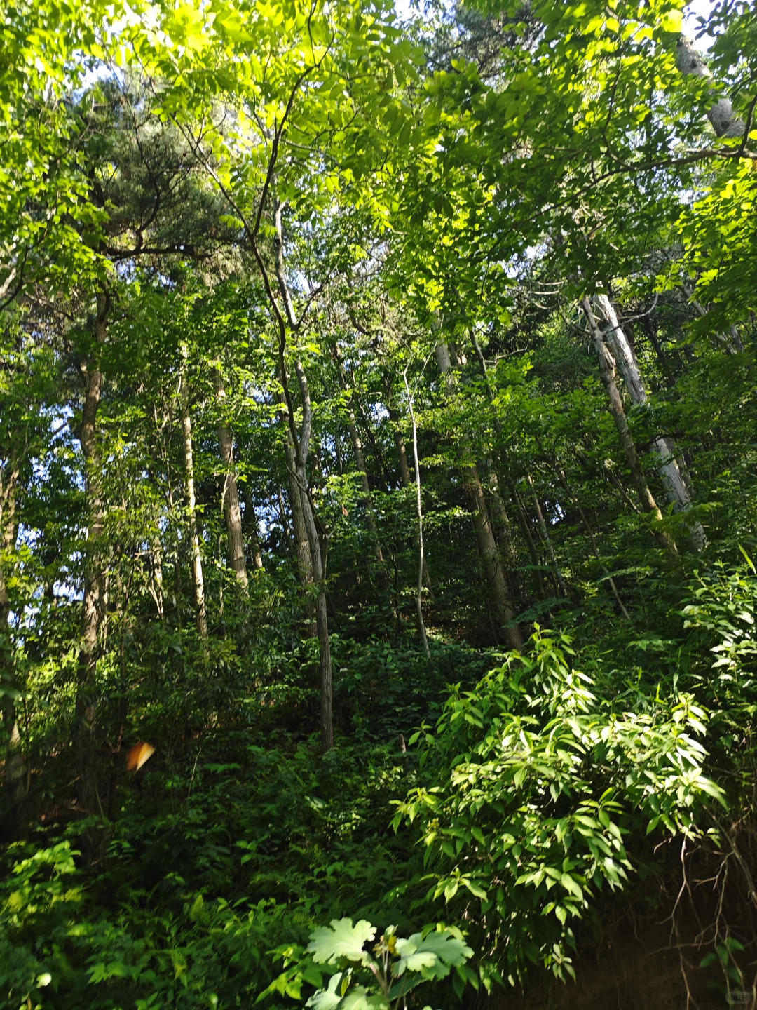 林业真不是人干的