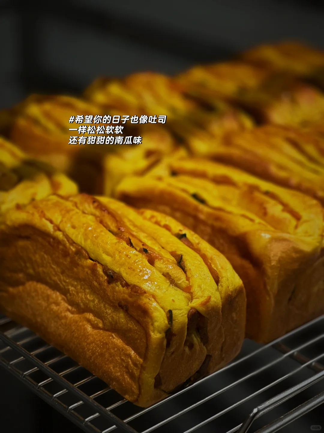 来点我们的烤箱日常?️