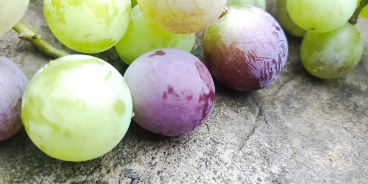 家里的天然水果蔬菜