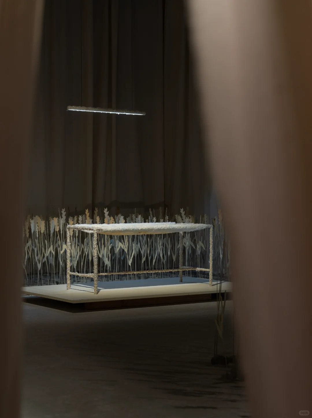 植物基塑料:由植物糖或农业废料制成