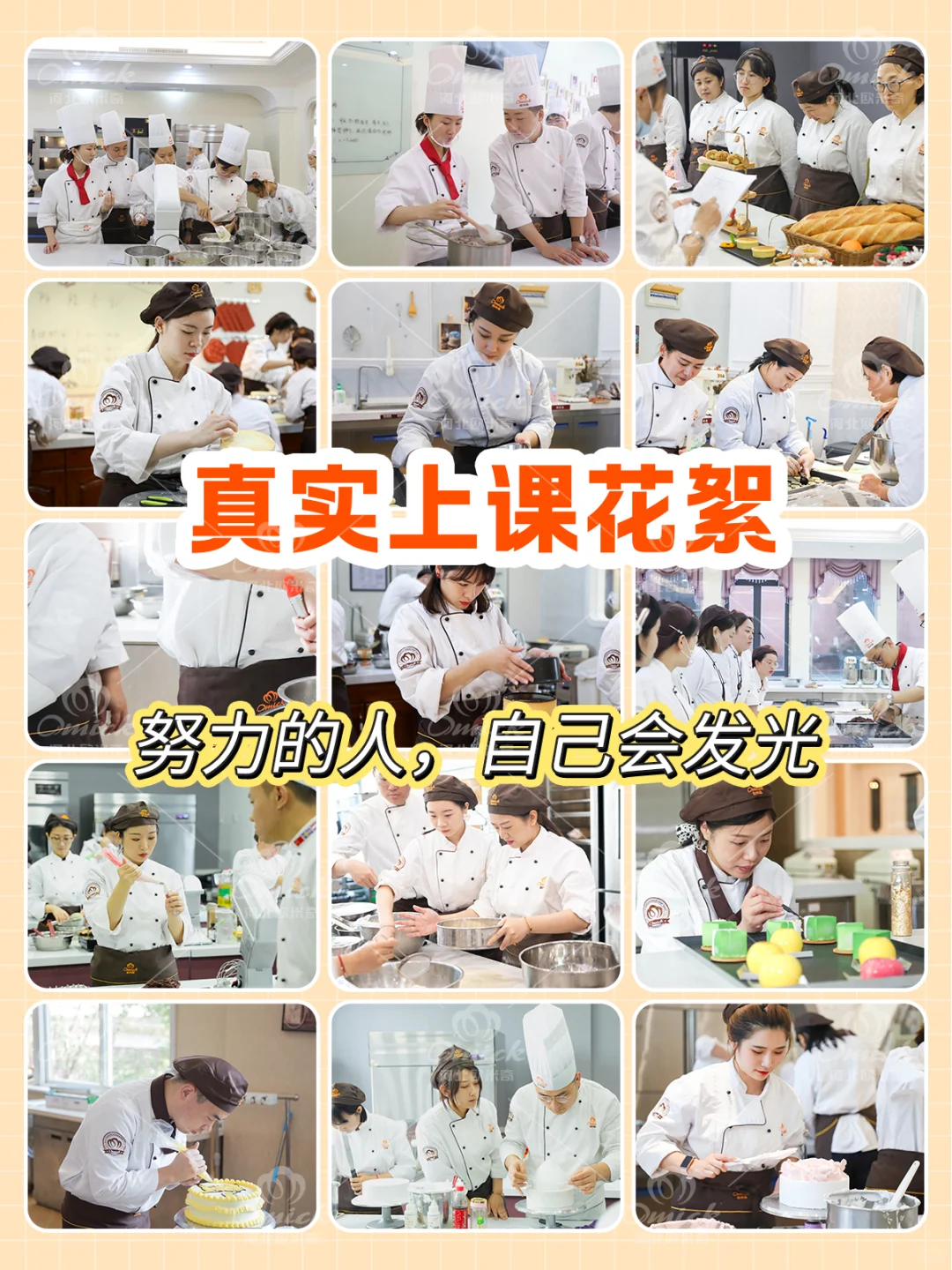 石家庄学烘焙?有哪些热门课程⁉️学费多少⁉️